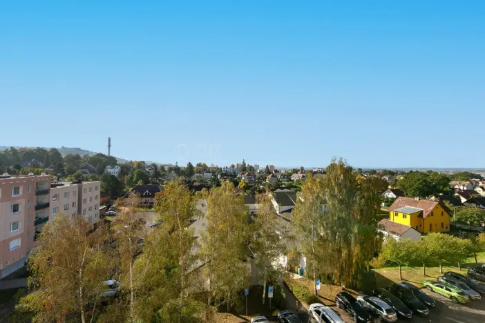 Pronájem bytu 1+kk, Planá, Bohušova, 31 m2