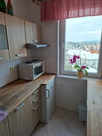 Pronájem bytu 1+1, Liberec, Matoušova, 32 m2