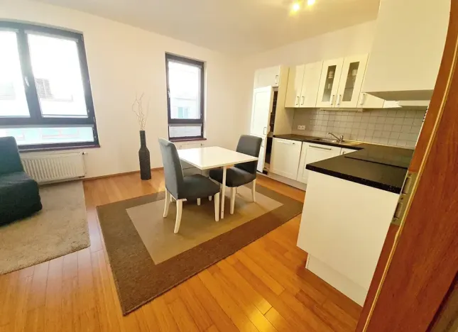 Pronájem bytu 1+kk, Praha - Žižkov, Baranova, 40 m2