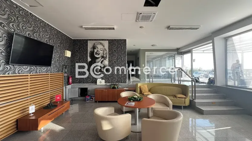 Pronájem komerčního pozemku, Pohořelice, 3700 m2