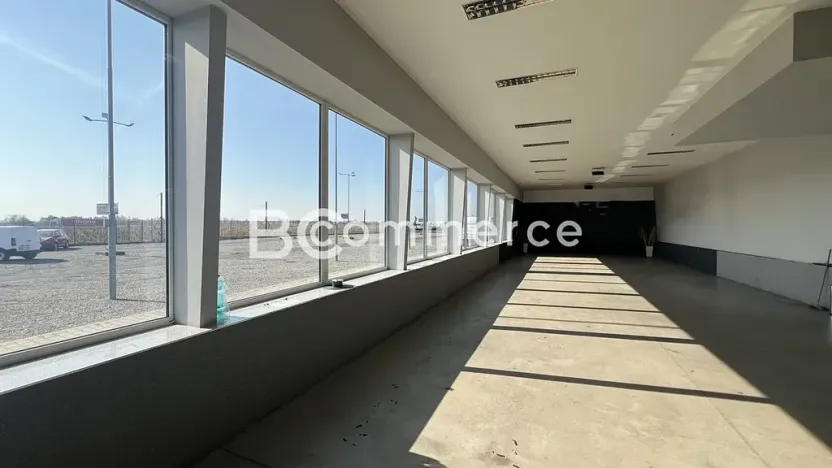 Pronájem obchodního prostoru, Pohořelice, 3700 m2