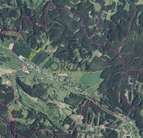 Prodej pole, Borovnička, 11661 m2