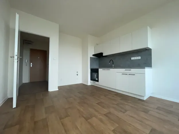 Pronájem bytu 1+kk, Ústí nad Labem, Sociální péče, 24 m2