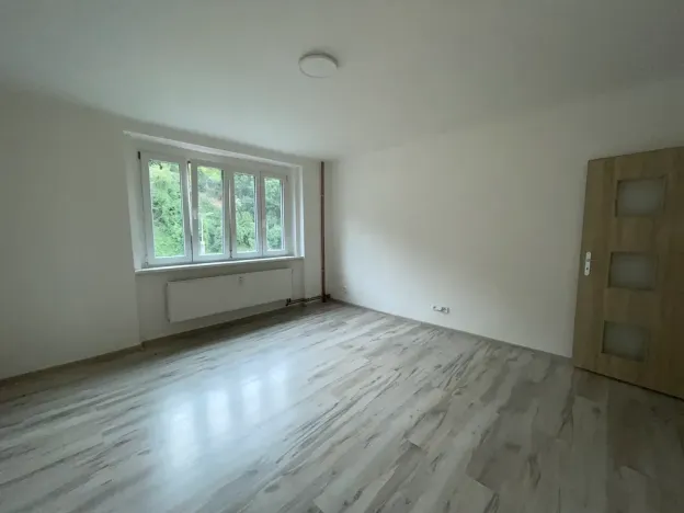 Pronájem bytu 2+1, Ústí nad Labem, Důlce, 56 m2