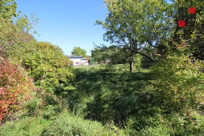 Prodej zahrady, Nové Město pod Smrkem, Husova, 468 m2