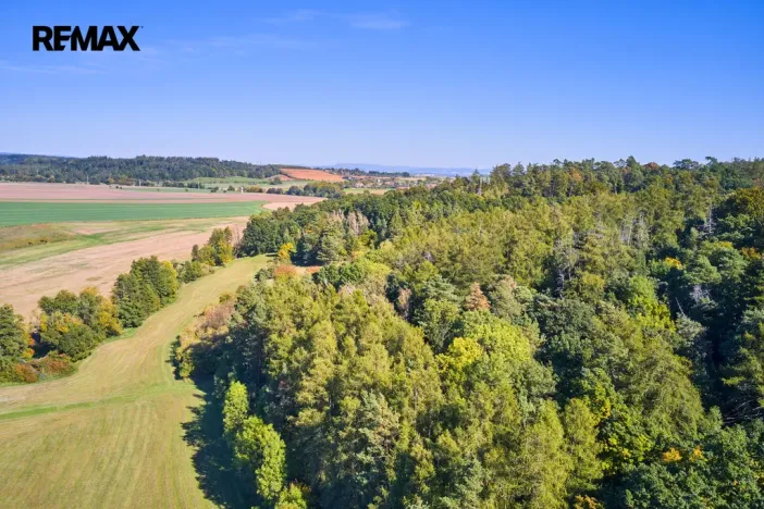 Prodej lesa, Račice nad Trotinou, 31440 m2