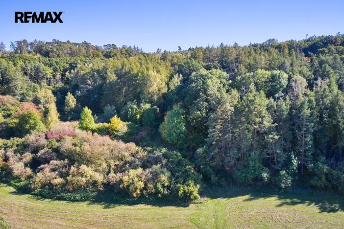 Prodej lesa, Račice nad Trotinou, 31440 m2
