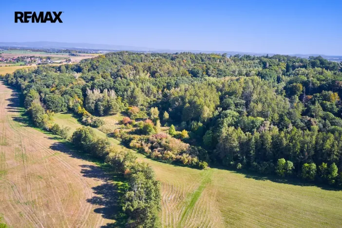 Prodej lesa, Račice nad Trotinou, 31440 m2