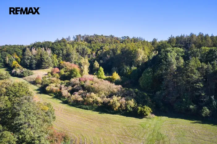 Prodej lesa, Račice nad Trotinou, 31440 m2