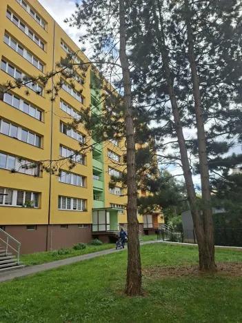 Pronájem bytu 1+1, Frýdek-Místek - Místek, Ostravská, 35 m2
