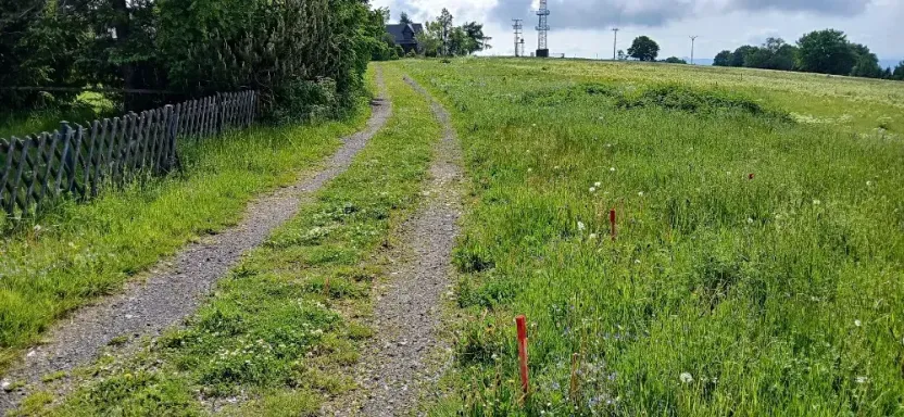Prodej louky, Osek, 1013 m2