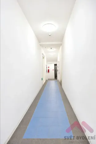 Pronájem bytu 2+kk, Praha - Žižkov, Kubelíkova, 44 m2
