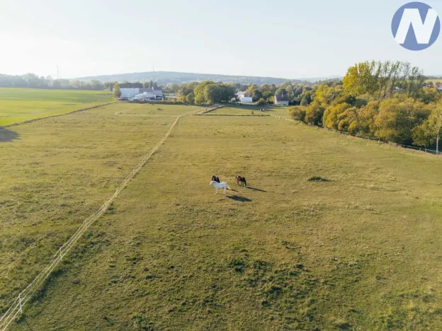 Prodej zemědělské usedlosti, Stříbro, 200 m2
