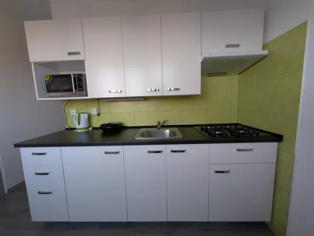 Pronájem bytu 1+1, Habartov, Čs. armády, 36 m2