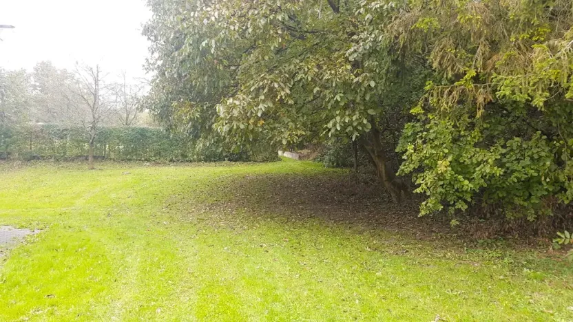Prodej zahrady, Libina, 239 m2