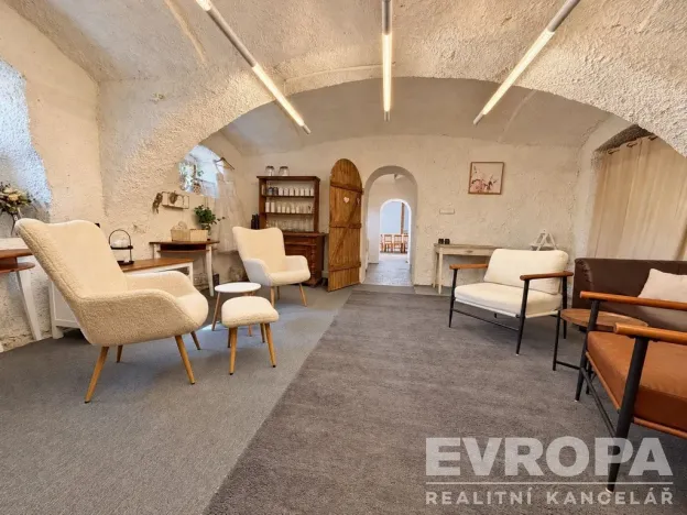 Prodej komerční nemovitosti, Borovy, 500 m2