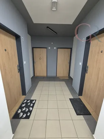 Pronájem bytu 1+kk, Plzeň - Jižní Předměstí, Inženýrská, 50 m2
