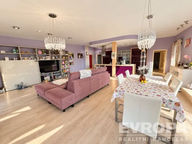Pronájem bytu 3+kk, Plzeň - Jižní Předměstí, U Borského parku, 153 m2