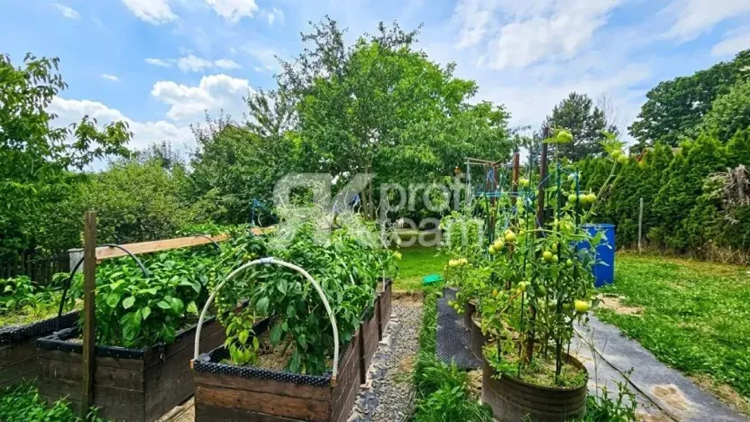 Prodej chalupy, Čaková, 150 m2