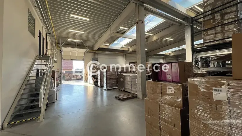 Pronájem skladu, Šlapanice, 4600 m2