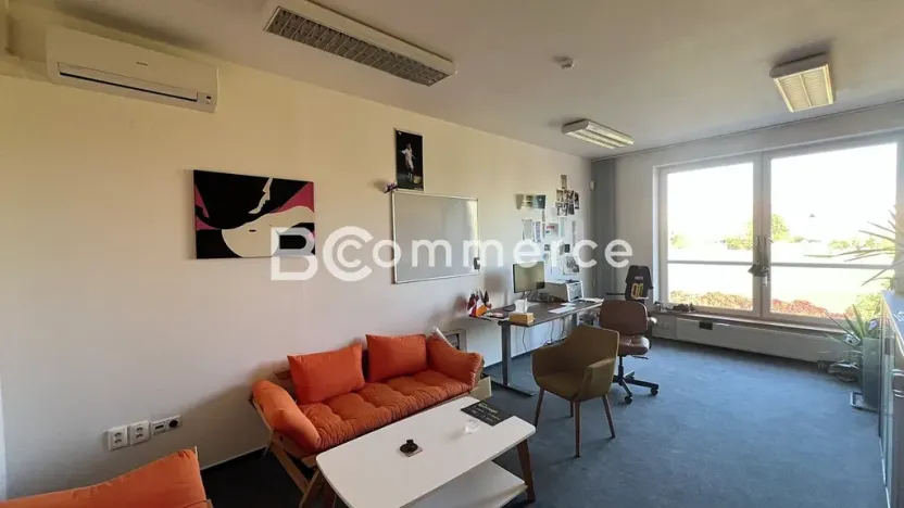 Pronájem skladu, Šlapanice, 4600 m2