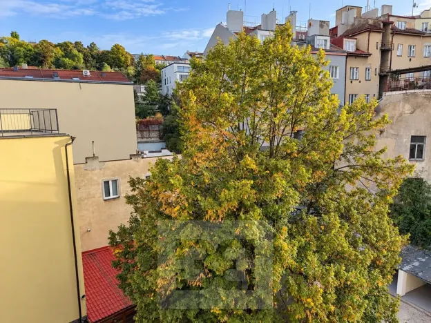 Pronájem bytu 2+1, Praha - Podolí, Podolská, 57 m2
