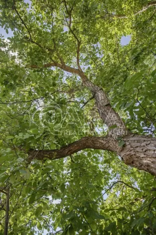 Prodej pozemku pro bydlení, Statenice, Nad Strání, 924 m2