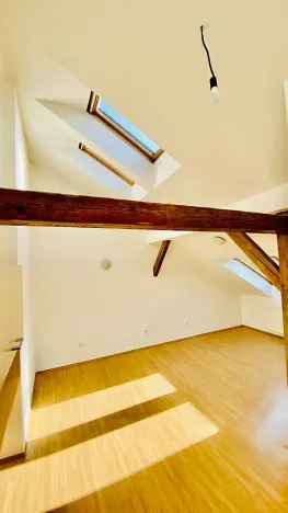 Pronájem bytu 2+kk, Brno, Ptašínského, 53 m2