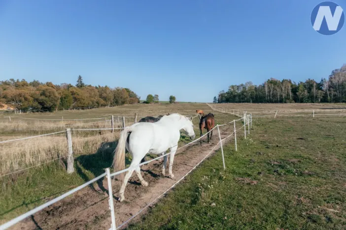 Prodej zemědělského objektu, Stříbro - Lhota u Stříbra, 200 m2