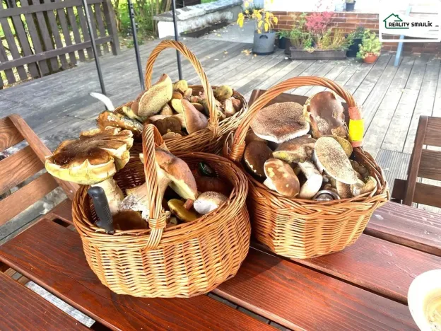 Prodej ubytování, Smolné Pece, 1015 m2