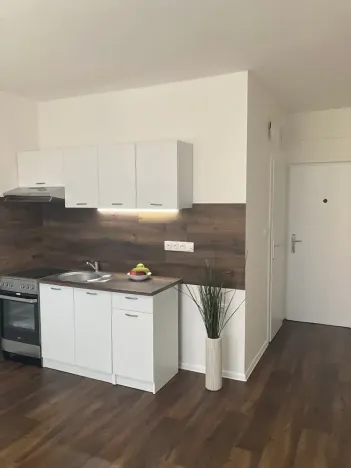 Prodej bytu 1+1, Chomutov, 17. listopadu, 36 m2