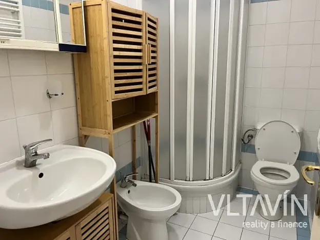 Pronájem bytu 1+kk, Praha - Vinohrady, Slezská, 45 m2