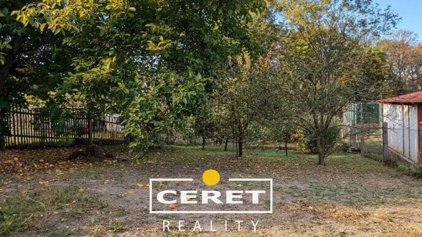 Prodej rodinného domu, Nové Sedlo, Hlavní, 108 m2