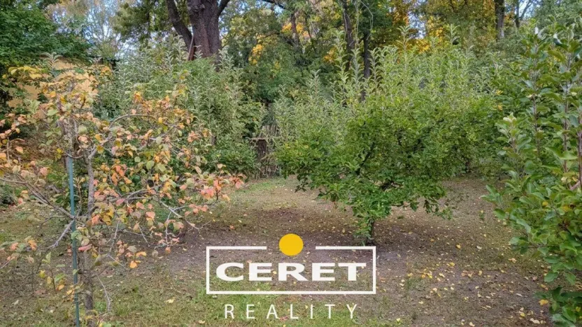 Prodej rodinného domu, Nové Sedlo, Hlavní, 108 m2