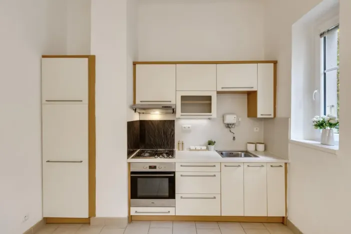 Prodej bytu 1+1, Praha - Žižkov, Pod lipami, 44 m2