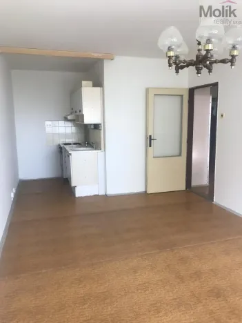 Prodej bytu 2+kk, Most, Josefa Ševčíka, 40 m2