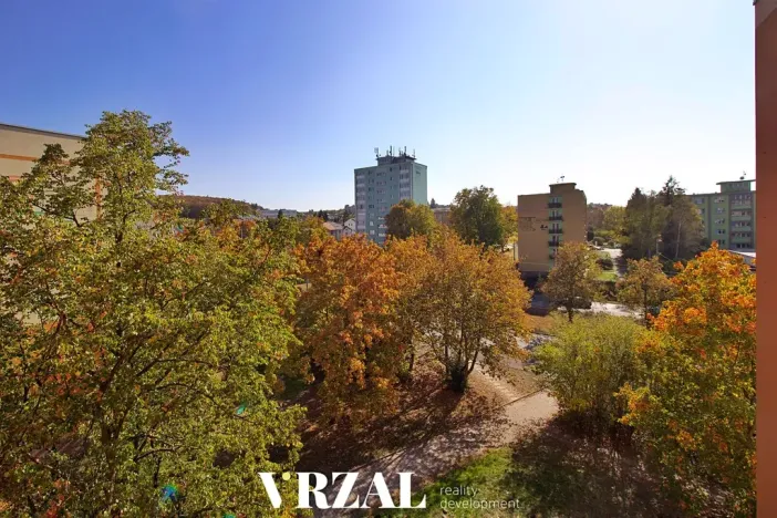 Prodej bytu 3+1, Plzeň, Partyzánská, 66 m2