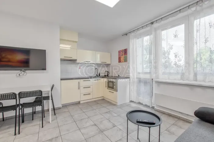 Pronájem bytu 1+kk, Trojanovice, 32 m2