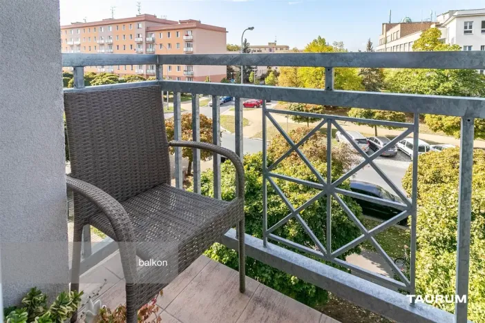 Pronájem bytu 2+1, Plzeň - Východní Předměstí, Francouzská třída, 56 m2