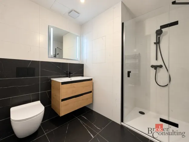 Prodej bytu 2+kk, Plzeň - Jižní Předměstí, Železná, 103 m2