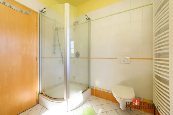 Prodej rodinného domu, Olšany, 240 m2