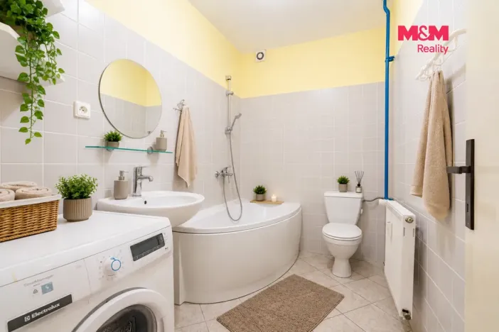 Pronájem bytu 2+kk, České Budějovice - České Budějovice 3, Riegrova, 44 m2