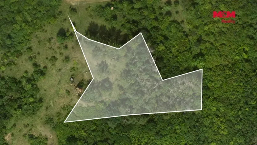 Prodej lesa, Libochovice - Dubany, 8199 m2