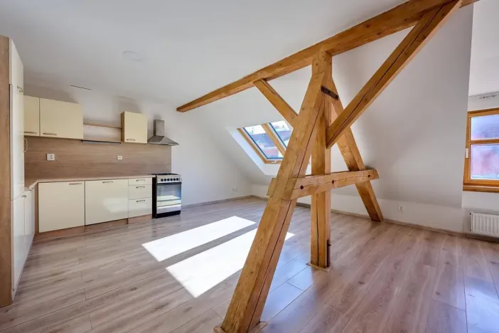 Pronájem bytu 3+kk, Praha - Staré Město, Bílkova, 99 m2