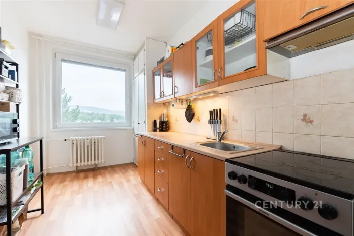 Prodej bytu 4+1, Chlumec, Vyklická, 81 m2