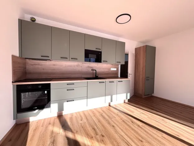 Pronájem bytu 1+kk, Plzeň - Jižní Předměstí, Železná, 35 m2