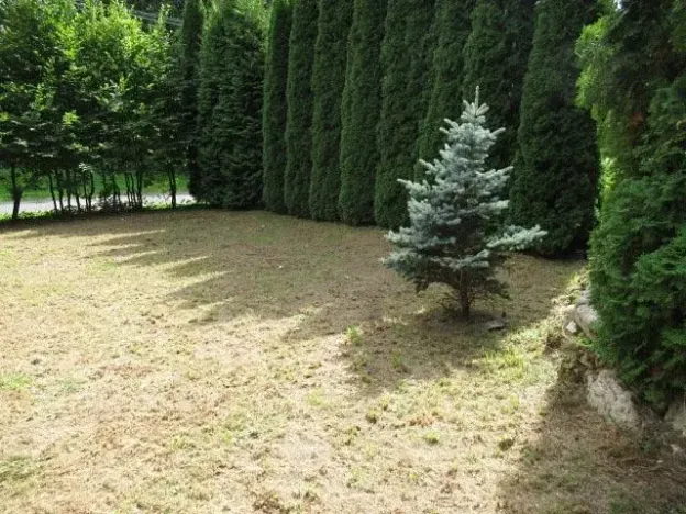 Prodej chaty, Dolní Žandov, 45 m2