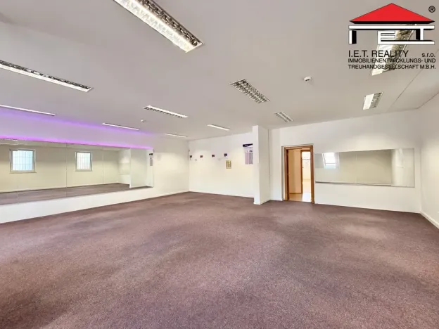 Pronájem obchodního prostoru, Brno, Orlí, 200 m2