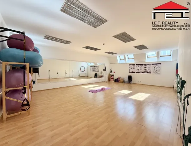 Pronájem obchodního prostoru, Brno, Orlí, 200 m2