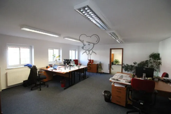 Pronájem kanceláře, České Budějovice - České Budějovice 1, Hradební, 29 m2